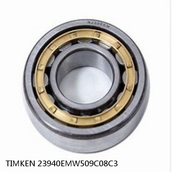 23940EMW509C08C3 TIMKEN Cylindrical Roller Radial Bearings