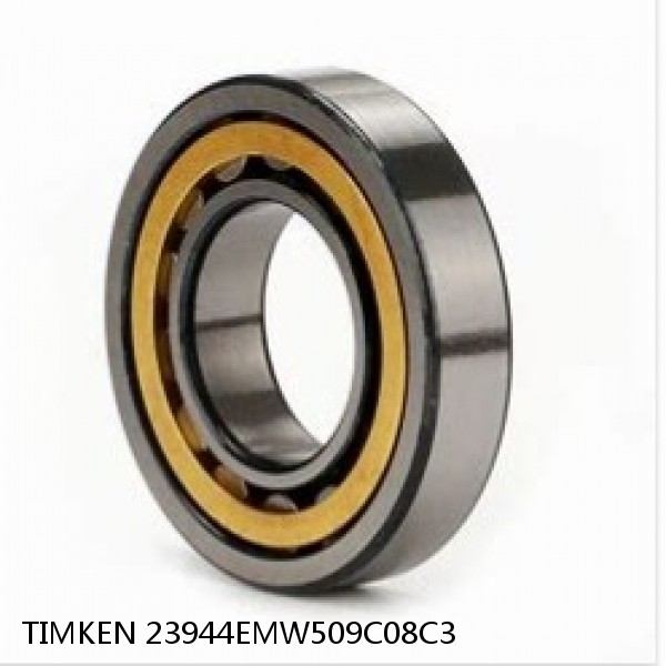 23944EMW509C08C3 TIMKEN Cylindrical Roller Radial Bearings #1 small image