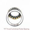 180TP169 TP thrust cylindrical roller bearing #1 small image